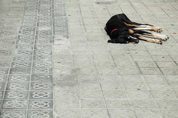 L&uuml;hrs - fotografie, ...und sonst 2